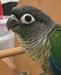kathyk avatar