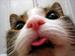 shay2484 avatar